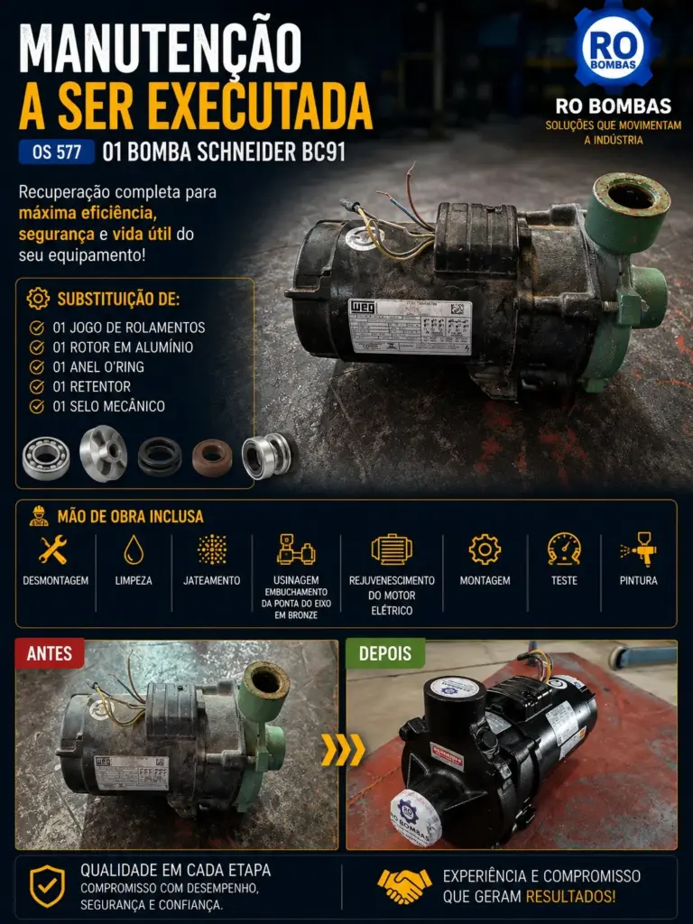 Manutenção bomba Schneider BC91